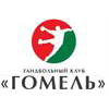 Gomel HC