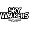 Hyundai Skywalkers