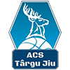 ACS Targu Jiu