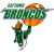 Saitama Broncos