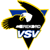 EC VSV