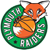 Plymouth Raiders